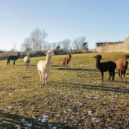 Granary * ألفرستون