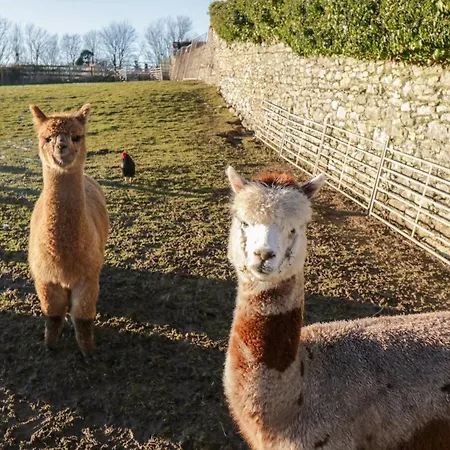 شقة Granary ألفرستون